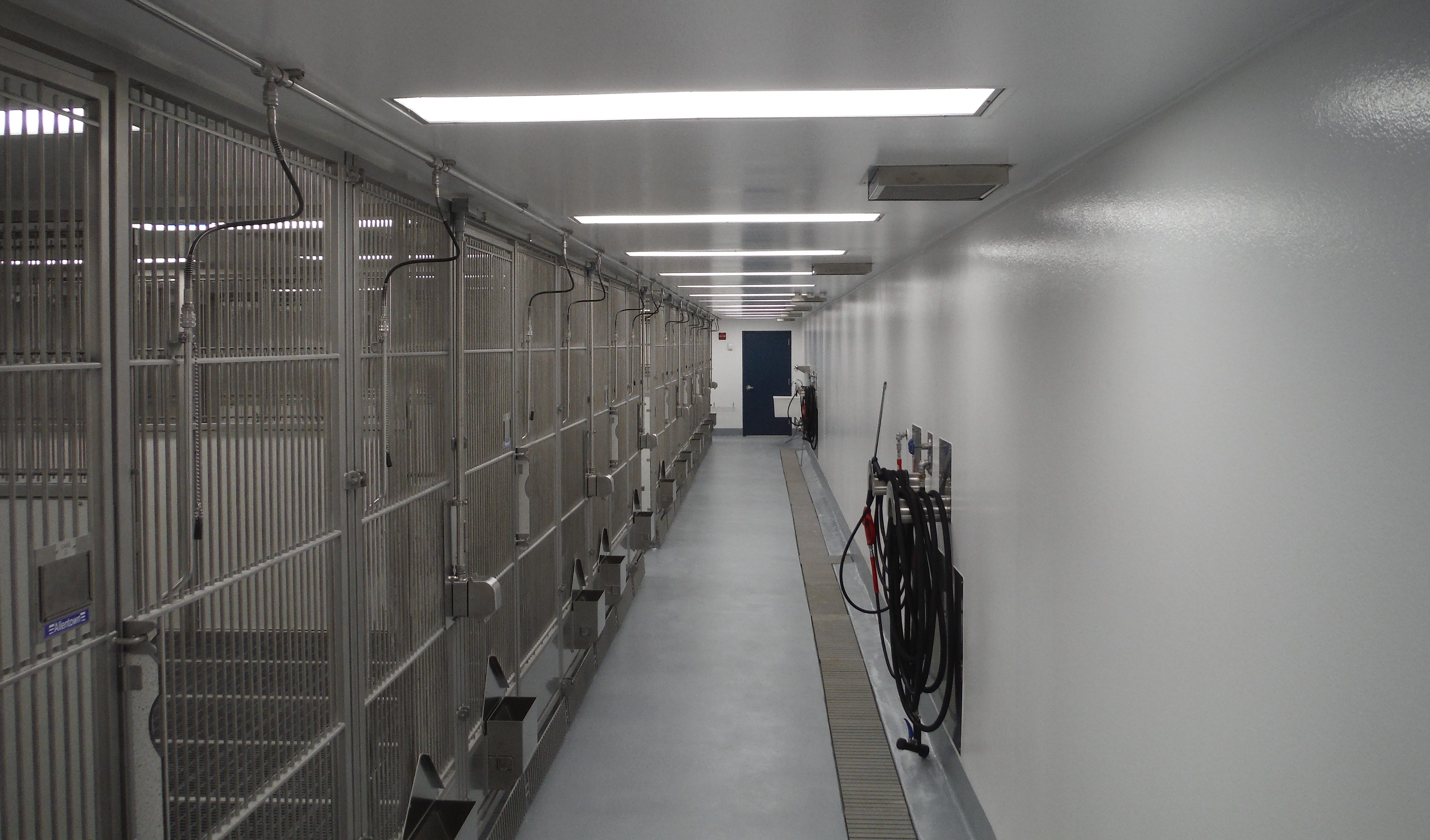 Hallway of kennels